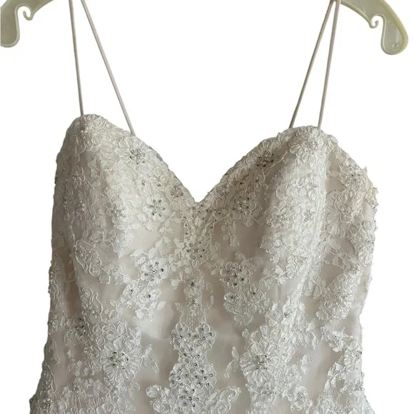 Elegant Lace Wedding Dress - Picture 14 of 16